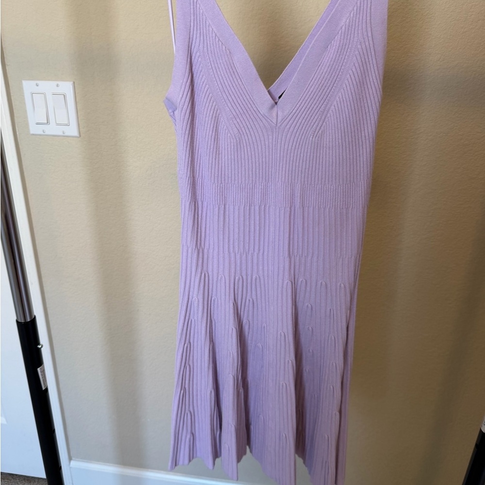 Express Lavender V-Neck Ribbed Knit Mini Dress - Picture 4 of 4